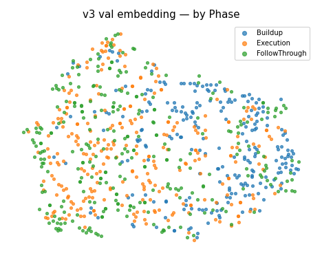 tsne phase